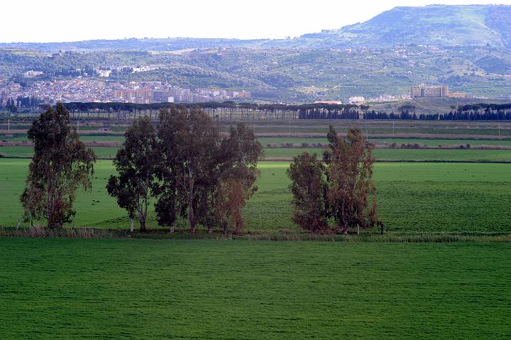 Biviere di Lentini 23.1.2011 (248).jpg